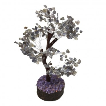 Iolite Mseal Wire Tree(300 Chips)